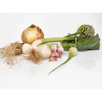 Frozen Onion (30)-4045728-53275.webp